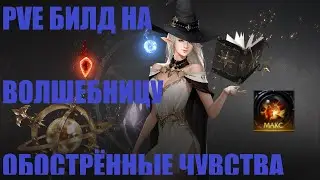 PVE Билд на Магичку через Обостренные Чувства Lost Ark 2024