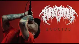 TO THE GRAVE - Ecocide [Official Music Video]