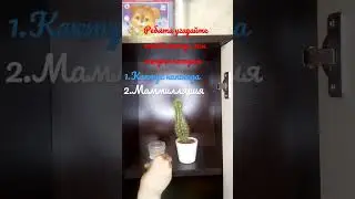 какие 