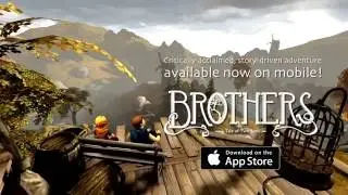 Brothers 