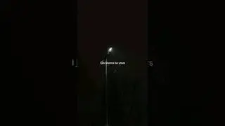 I Wanna Be Yours - arctic monkeys|Lyrics video|"I wanna be your wacuum cleaner"|#shorts #aesthetic