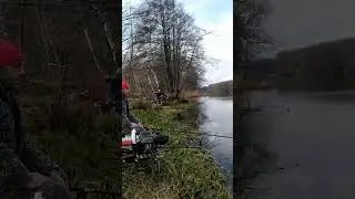 🎣РЫБАЛКА НА ФИДЕР 2023! Команда Feeder Sport Брест! 
