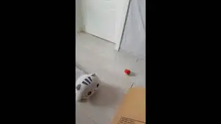 Десять баллов с фоном