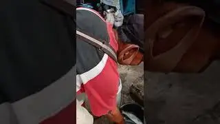 Pace Buton Bicara Bahasa Ansus Serui Papua, terbaru Keren Video Viral 2020 Serui Viral