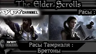 The Elder Scrolls|Расы Тамриэля: Бретонцы(Лор)