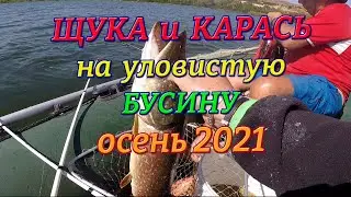 Ловим карася и щуку с лодки на бусинку