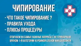 Чипирование домашних питомцев