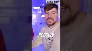 MrBeast Net Worth |  Richest Youtuber | MrBeast INCOME REVEAL | 