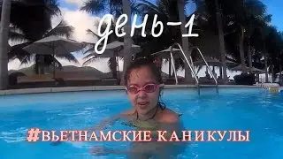 #ВЬЕТНАМСКИЕ