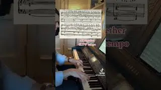 Breaking down Rachmaninoff #rachmaninoff #piano #music #keithteepen #pianomusic #pianotutorial #fyp