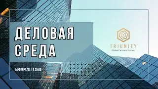 TRIUNITY | Деловая среда для партнёров (14.02.2024г.)