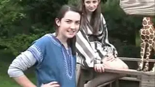 noah and the ark -- religion project