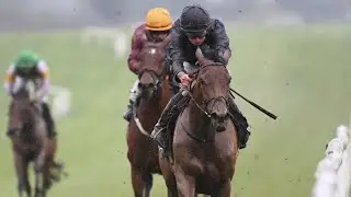 Emily Dickinson - star stayer and Kyprios super sub for Aidan O'Brien? | Racing TV