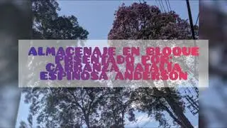 Almacenaje en bloque