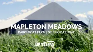 Mapleton Meadows Testimonial — Epic Britespan Dairy Goat Barn