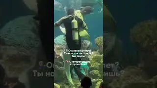 Потанцуем? 😁  #дайвинг #приколы #diving #акулы #дайвингвмоскве #путешествия