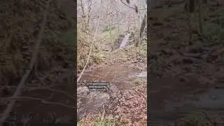 New River Tiktok earthdr0p