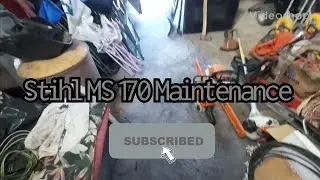 Stihl MS 170 Maintenance