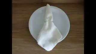 COMO FAZER UM PORTA GUARDANAPO LUXO