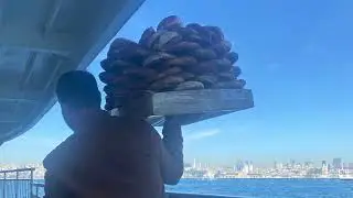 Turkey, Istanbul / Турция.Стамбул