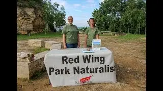 Upcoming Park Naturalist Events