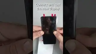 Honor 50 LCD Screen Display Replacement | Disassembly | Teardown