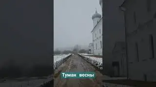 Завершение февраля #instrumental