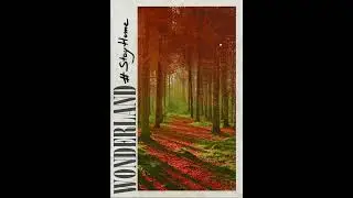 Summer Party Life  - Study | Relax | Sleep (Lofi)