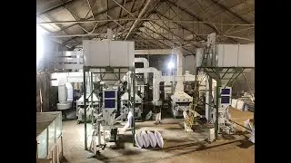Sesame Cleaning Line