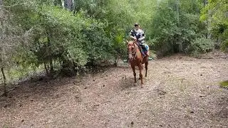 Thursday afternoon trail ride at horsing around Ranch