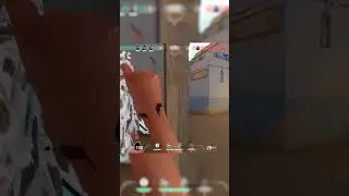 majestic aim