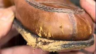 Edward Green Dog chewed the toe.