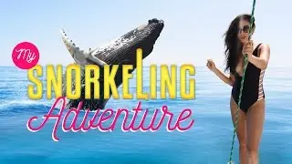 My Snorkeling Adventure | Shaycation Hawaii Pt. 2