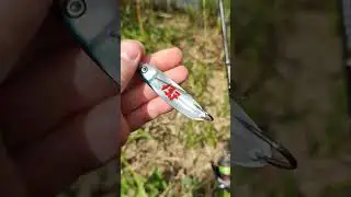 ТОП приманка👍👍👍Блесна на все случаи.Рыбалка #shorts #рыбалка #fishing