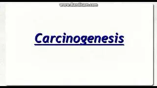 Chemical Carcinogenesis