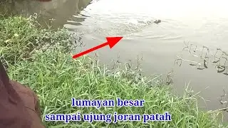 PANCING GARONG STRAIGHT DI LUAR DUGAAN