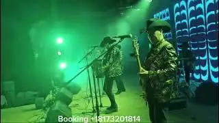 los halcones de san luis en vivo desde misisipi
