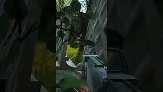 Типичный PVE момент в Таркове  