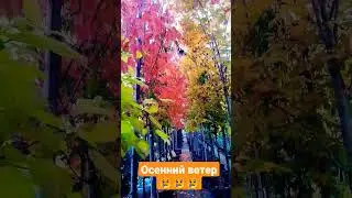 ромашкино парк садовой сентир