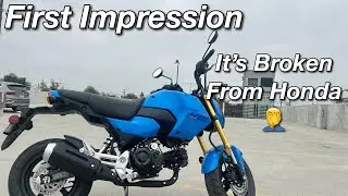 2025 Honda Grom First Impression