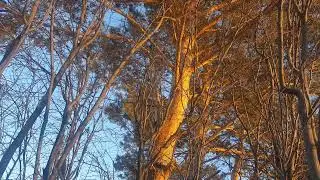 ДЛЯ ПОДПИСЧИКОВ