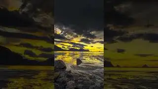 Ака-ука, опа-сингиллар учун!