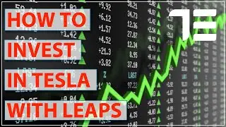 How to Invest in Tesla Using LEAPs. Advantages, Strategies & Tips to Leverage Your TSLA Stocks