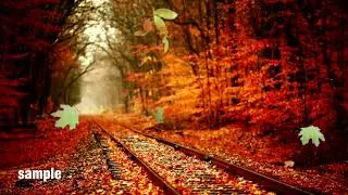 Autumn leaves green screen #5