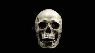Skull dying of laughter