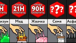 Самые Липкие Вещи В Мире!