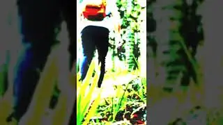 यह आदत बर्बाद कर देगी Student👦📖🎒| 