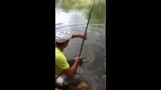 Peche grosse anguille 1 m20