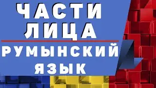 Румынский Язык: Части Лица