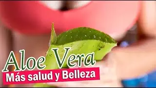 🌵 ALOE VERA: Mejora tu Digestión y Más Beneficios 😍 | SALUDABLEMENTE TV